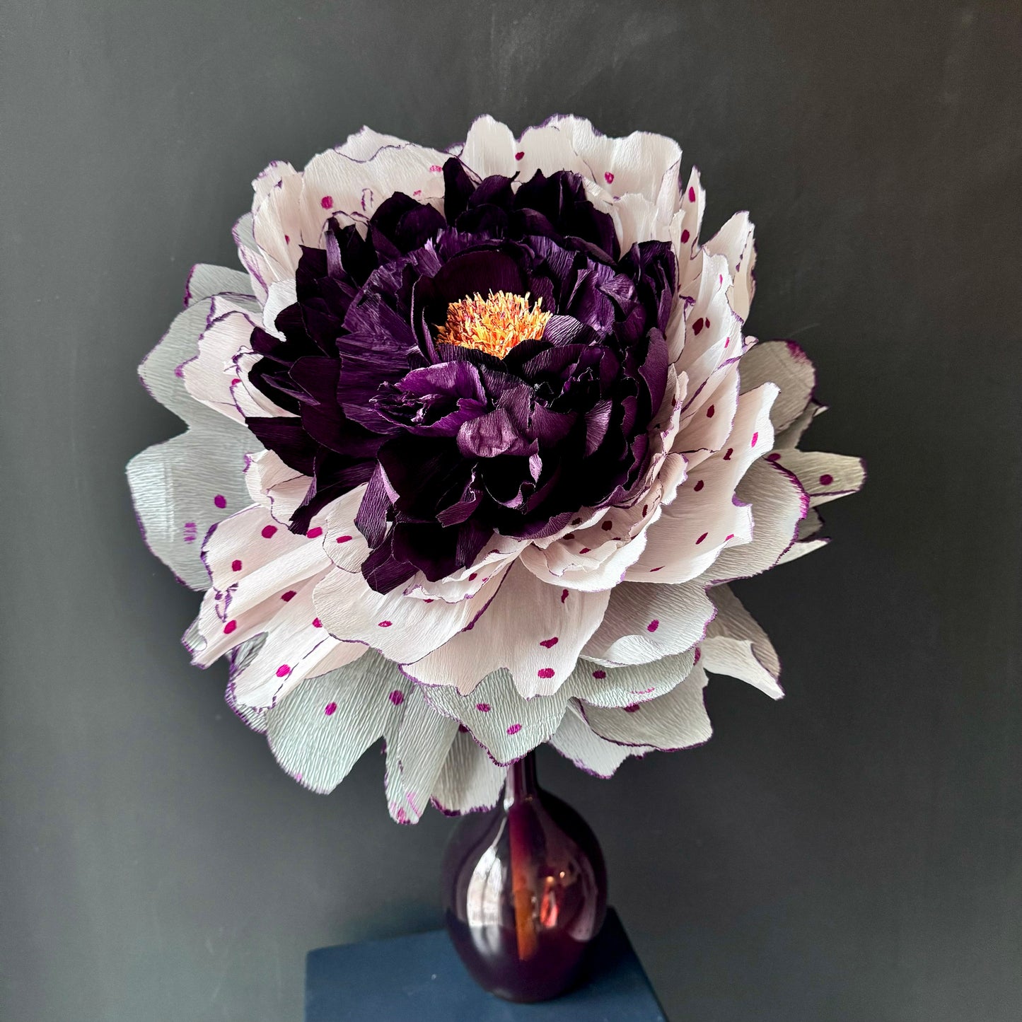 La Delicata