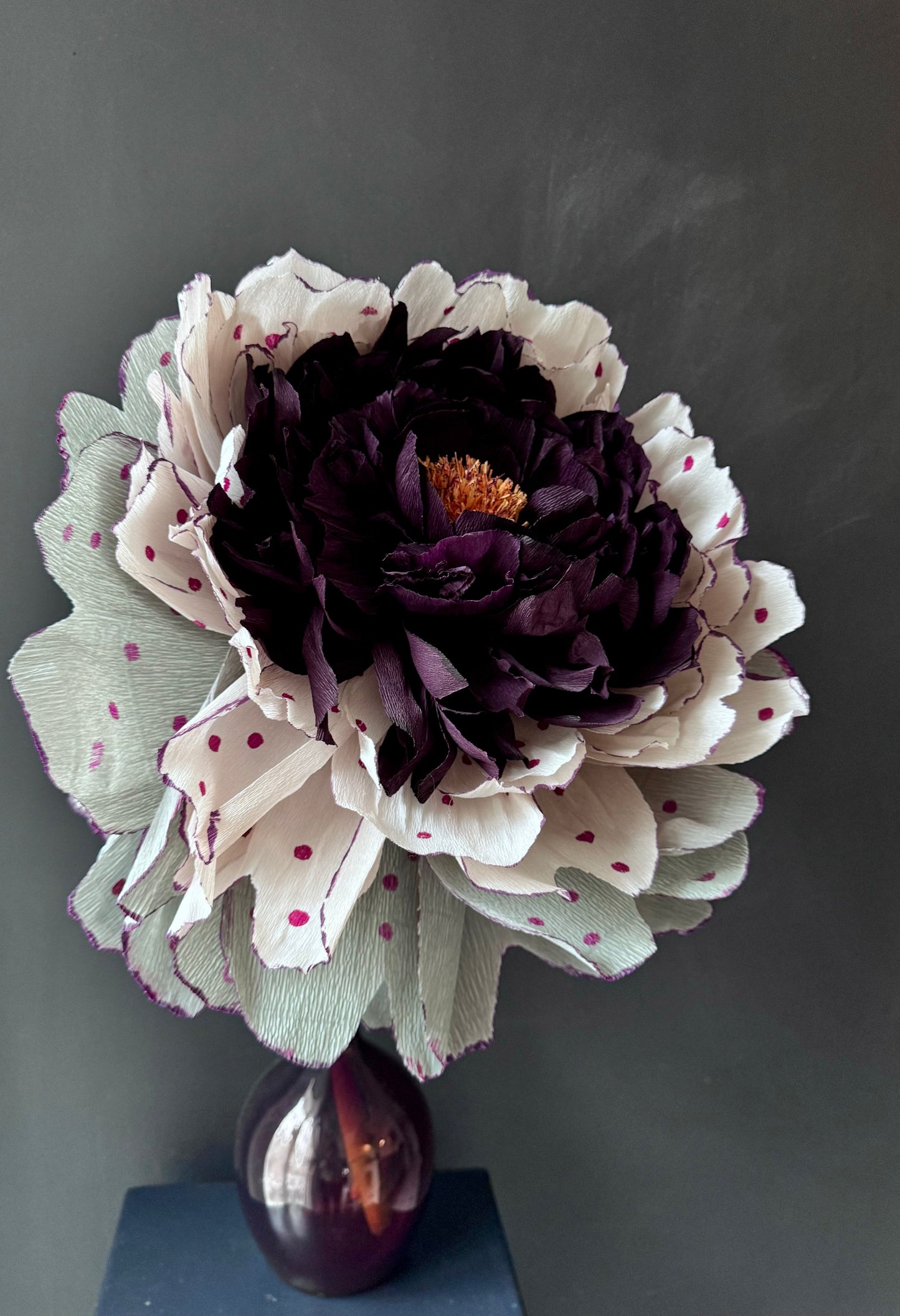 La Delicata