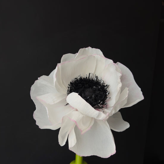 Corso online: crea la tua "Seduttrice Bianca"