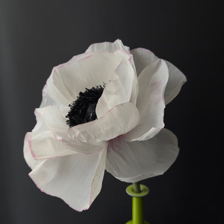 Corso online: crea la tua "Seduttrice Bianca"